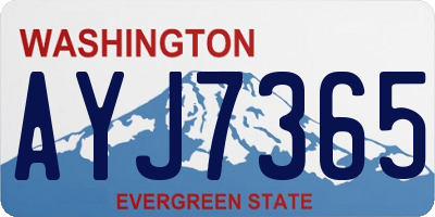 WA license plate AYJ7365
