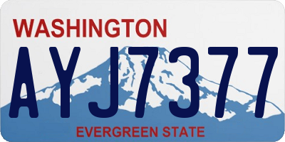 WA license plate AYJ7377