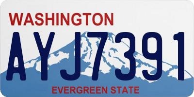 WA license plate AYJ7391