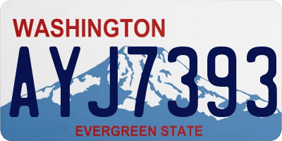 WA license plate AYJ7393