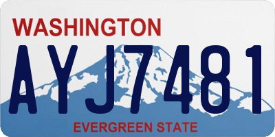 WA license plate AYJ7481