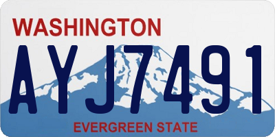 WA license plate AYJ7491