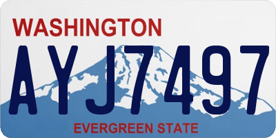 WA license plate AYJ7497