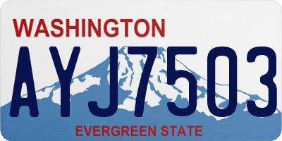 WA license plate AYJ7503
