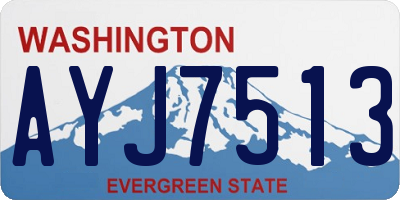 WA license plate AYJ7513