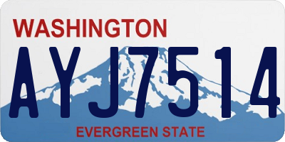 WA license plate AYJ7514