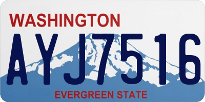 WA license plate AYJ7516