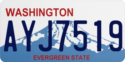 WA license plate AYJ7519