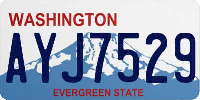 WA license plate AYJ7529