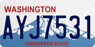 WA license plate AYJ7531