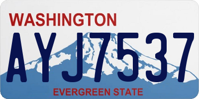WA license plate AYJ7537