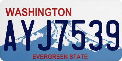 WA license plate AYJ7539