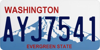WA license plate AYJ7541