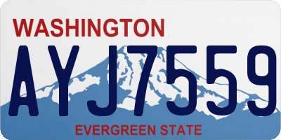 WA license plate AYJ7559