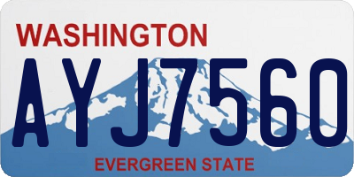 WA license plate AYJ7560