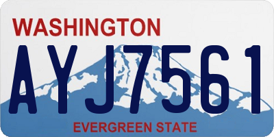 WA license plate AYJ7561
