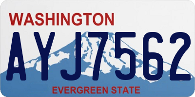 WA license plate AYJ7562