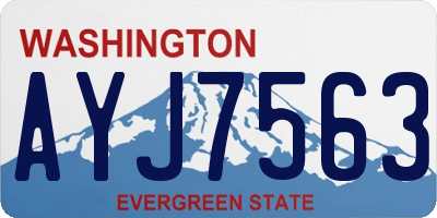 WA license plate AYJ7563
