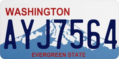 WA license plate AYJ7564