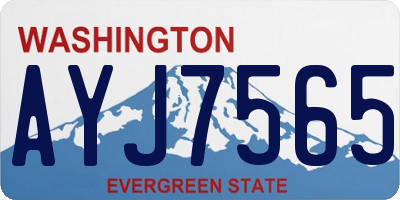WA license plate AYJ7565