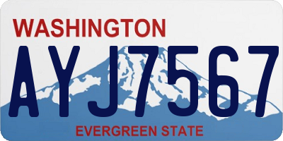 WA license plate AYJ7567