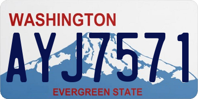 WA license plate AYJ7571