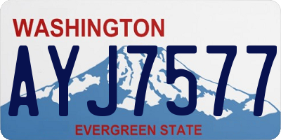 WA license plate AYJ7577