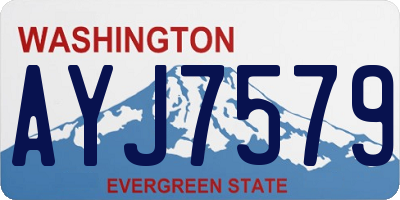 WA license plate AYJ7579