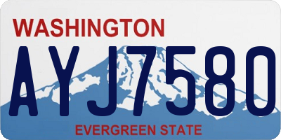WA license plate AYJ7580