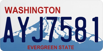WA license plate AYJ7581