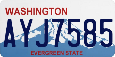 WA license plate AYJ7585