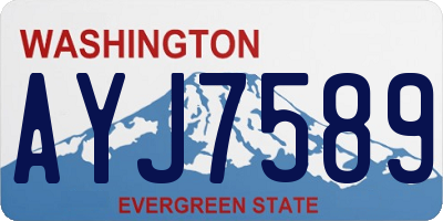 WA license plate AYJ7589