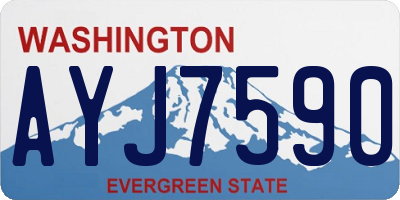 WA license plate AYJ7590