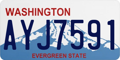 WA license plate AYJ7591