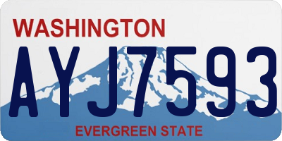 WA license plate AYJ7593