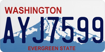 WA license plate AYJ7599