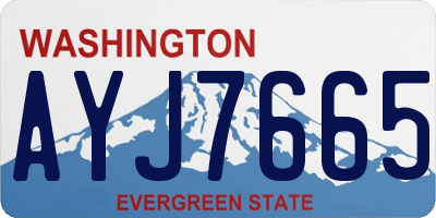 WA license plate AYJ7665