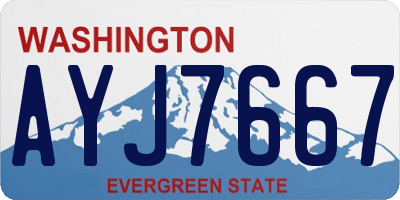 WA license plate AYJ7667