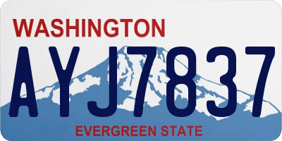 WA license plate AYJ7837