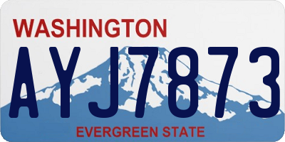 WA license plate AYJ7873