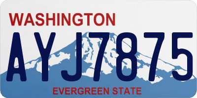 WA license plate AYJ7875