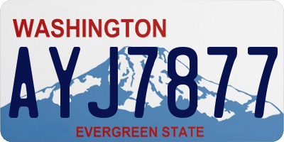 WA license plate AYJ7877