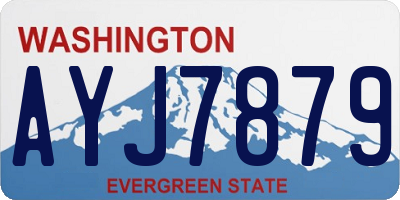 WA license plate AYJ7879