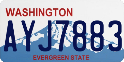 WA license plate AYJ7883