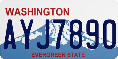 WA license plate AYJ7890