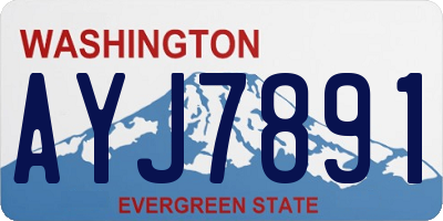 WA license plate AYJ7891