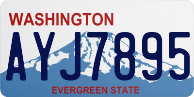 WA license plate AYJ7895