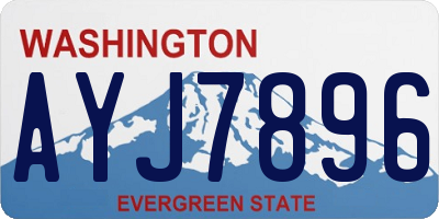 WA license plate AYJ7896