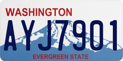 WA license plate AYJ7901