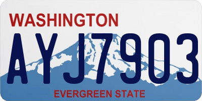 WA license plate AYJ7903